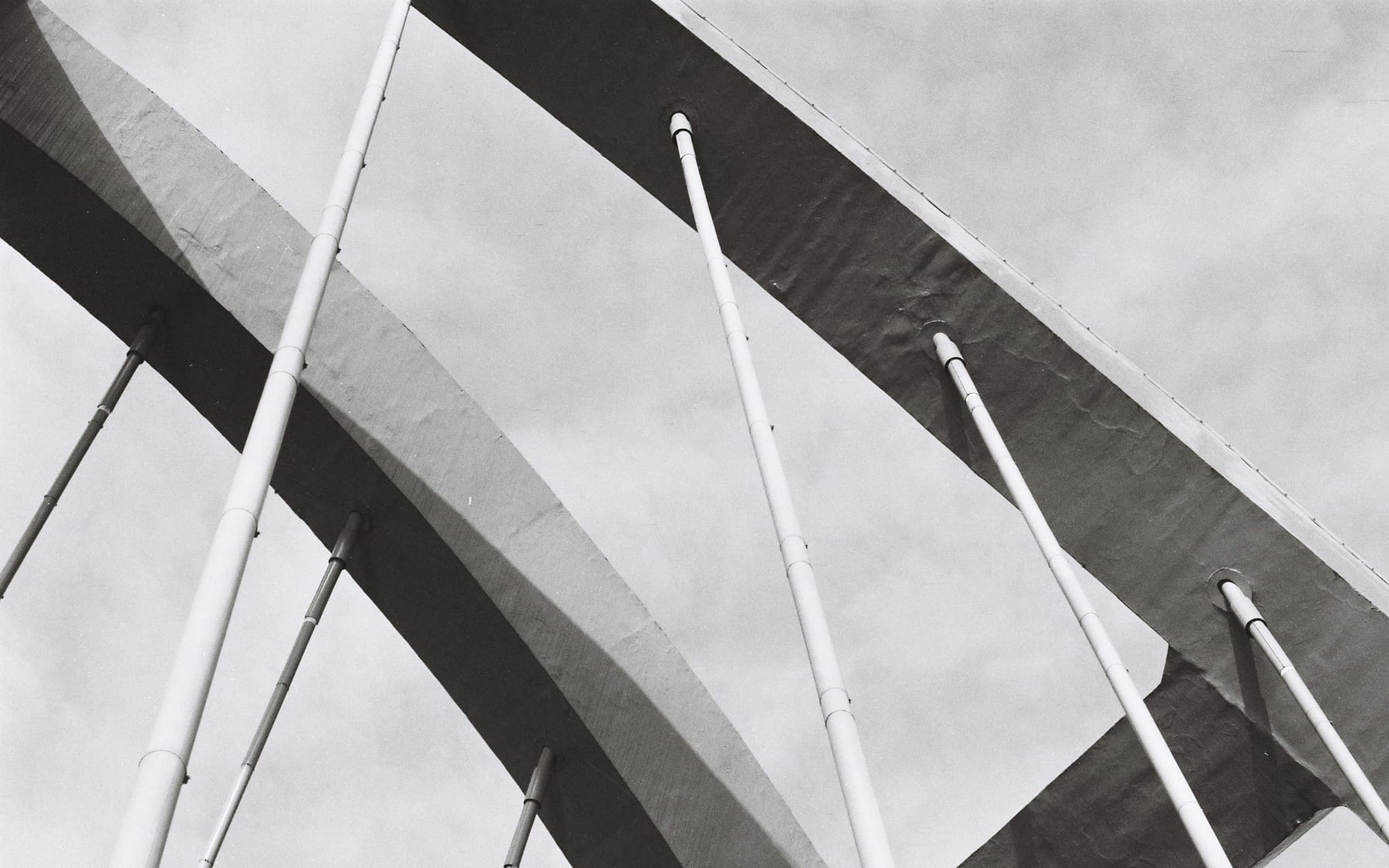 Cable stays fanning out from a concrete bridge deck against a pale sky.