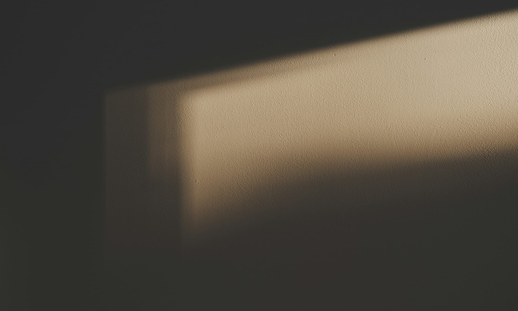 A soft rectangle of daylight falling across a plain plaster wall.